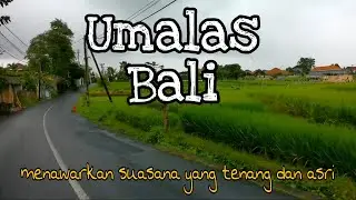Umalas kerobokan Bali || Bali terkini || info seputar Bali