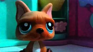 Tag colecionador de LPS