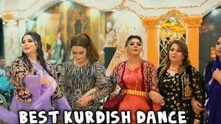 Best Kurdish wedding dance by farshad amini Full Halparke  عروسی کردی شاد  فرشاد امینی
