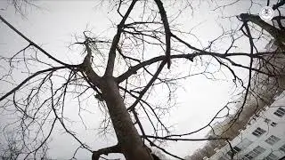 🔥Будни добровольцев🔥