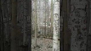 9 мая 2024 г.