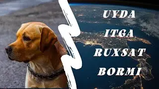 Уйда итга рухсат борми   ибратли хикоялар канали qiziqarli hikoyalar ibratli hikoya va rivoyatlar