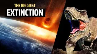 Mystery of Dinosaurs | How Did They Become Extinct? | Ahsan Rahmani Official