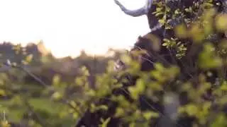ICELANDIA - Magic (Official Music Video)