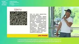 Круглый стол 