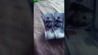25 августа 2024 г.