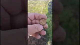 Металлоискатели в Казахстане, Алматы.