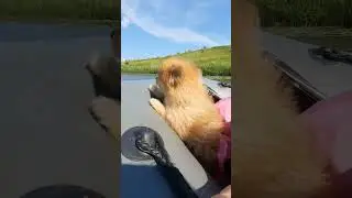 Юни после 4 часов катаний