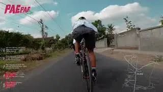 PAE PAE Vol 2 - Alleycat Race