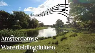 Music in the Amsterdam Waterworks Dunes - Oase Entrance (orange route) | 4K
