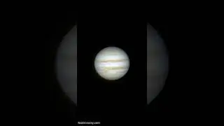 Timelapse of Jupiter at Opposition Through my Telescope 
