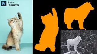 How To Transform Image Into Custom Shape In Photoshop CC 2021 | Photoshop Tutorial