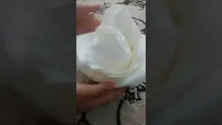 Salfetkadan gul yasash