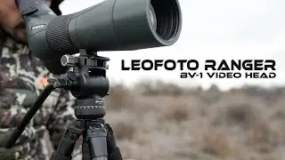 Leofoto Ranger BV1 Video Head - Our New Favorite?