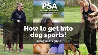 How to get into dog sports