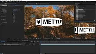 Mantra VR Update V1.20  | Overview