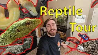 Reptile Tour Feb 2024!!