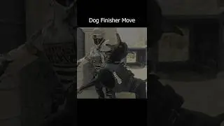 Dogg calls dog for help in Modern Warfare 3 🐶 #callofduty #finisher #SnoopDogg