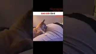 Có tất cả Clip hay Triệu View TikTok Trung Quốc (P 346) Cú sốc đầu đời #shorts #shortsvideo