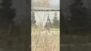У бегаем от охраны