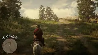 Red Dead Redemption 2 Fire Arrows