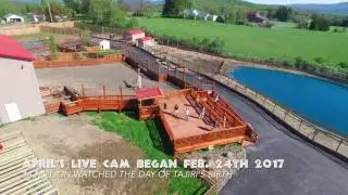 Animal Adventure Air Tour May 2017