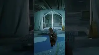 Тактический 🐈‍⬛ 