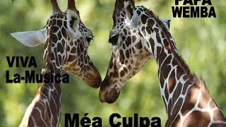 Mea Culpa, viva la musica