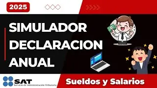SAT Simulator Annual Declaration 2025 Salaries and Wages