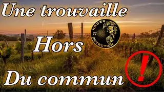 Sortie Détection : Une trouvaille hors du commun