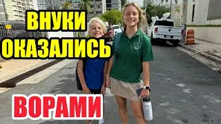 БОЮСЬ ОТКРЫВАТЬ ТЕЛЕФОН.ЧЕГО БОИТСЯ БЛОГЕР. ПРОШУ ПРОСТИТЬ И ПОНЯТЬ.ВСЕ РАЗВЕЛИСЬ. ПОССОРИЛИСЬ ЛАЙКИ