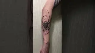 Тату паук