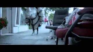 ASICS - Превзойди себя - Бегун в костюме носорога