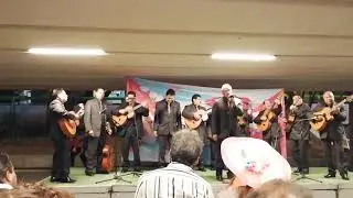 Entre el amor y yo, rondalla mil amores