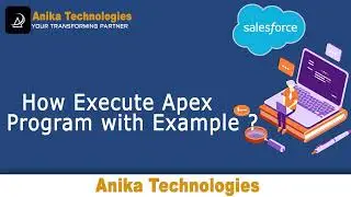 How to Execute Apex Program with Example | Anika Technologies