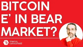 Bitcoin è già in un bear-market, oppure si riprenderà?