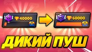 ПУШИМ 52К С ЕКВАКОМ 😨😨😨