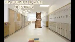 Как я писала пробник по русскому языку #мемныекоты