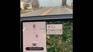 Tesla Model 3 Horse And Buggy Detection Is... Buggy