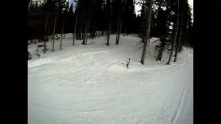 Day 1 - Slater Tree