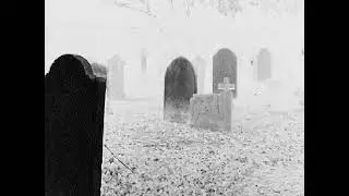 darkwave x bauhaus x post punk x marilyn manson x she past away Type Beat "Twin Flame"