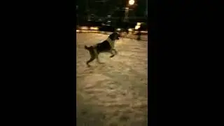 АЛАБАЙ И РЕБЕНОК 