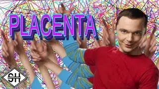 The Bing Bong Theorem [Feat. SorrowTV]
