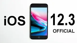 iPhone 8 iOS 12.3 Review!