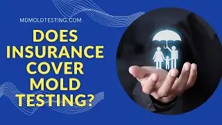 Does Insurance Cover Mold Testing and Remediation?   (Mold Testing Chevy Chase Maryland)