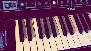Nord Drum 3P Phatty Blofeld Groove