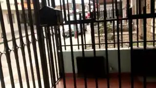 Los diablos de cali /parte #4