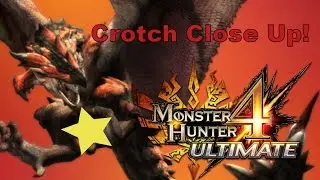 Monster Hunter 4 Ultimate 3DS - Rathalos Crotch Close Up! (Funny Moments)
