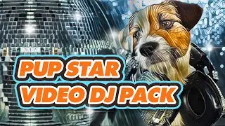 🐶 Pup Star || VJ Loops Pack