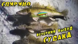Here it is already OFF!!! Evening output of Sudak! Winter fishing in SPIRINO. ZANDAK ON VIBA